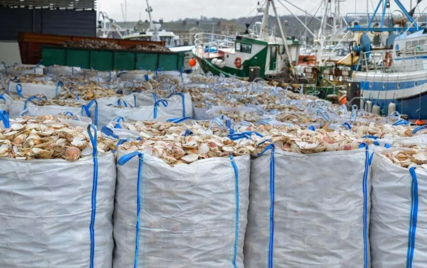 Seafood, Rice Exporters Rejoice: US Tariff Drops to 18% Levels Playing Field