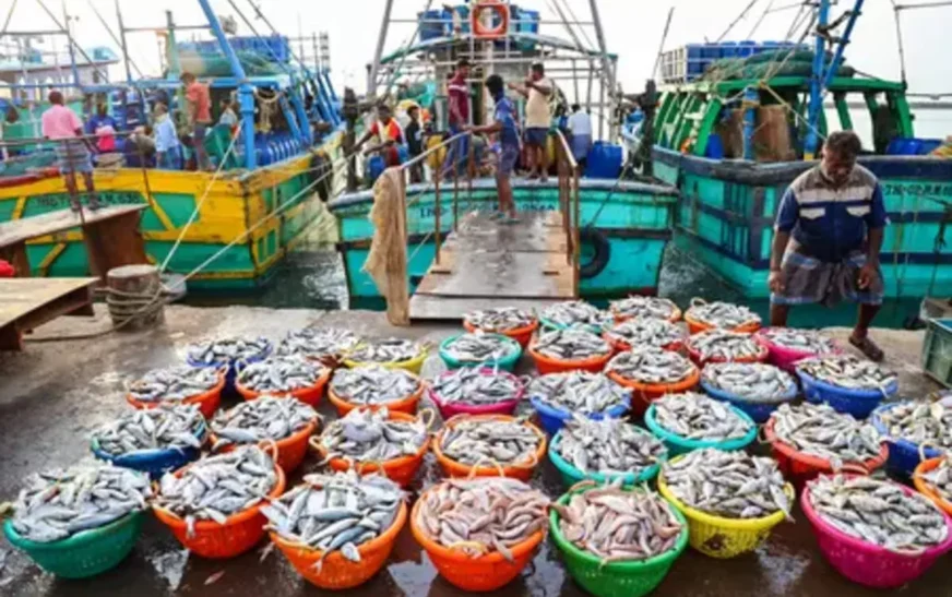 Duty-Free Import Limits Expanded for Seafood and Footwear Exports
