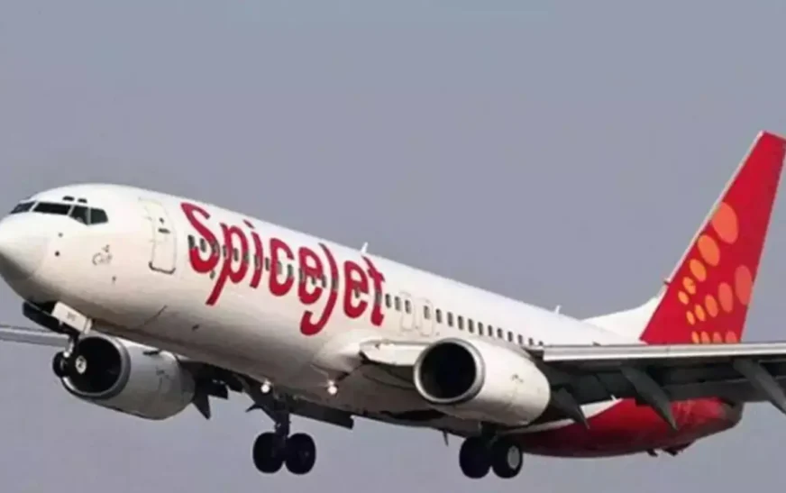 SpiceJet Delhi-Leh Flight Makes Safe Emergency Return After Mid-Air Engine Glitch Sparks Alarm