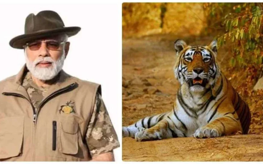 PM Modi Praises International Big Cat Alliance, Cheetah Reintroduction on World Wildlife Day