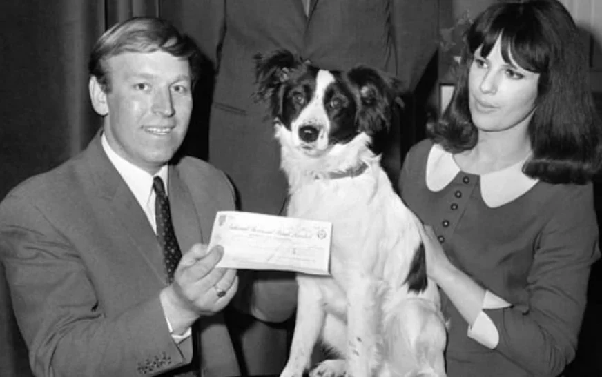 When a dog stole the show at the World Cup
