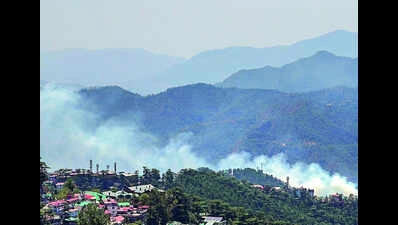 Rising Heatwave Drives Tourists to Shimla, Locals Anticipate Strong Business