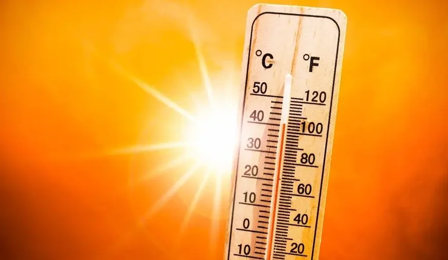 India Reels Under Severe Heatwave: 98 of World’s Hottest Cities in Country