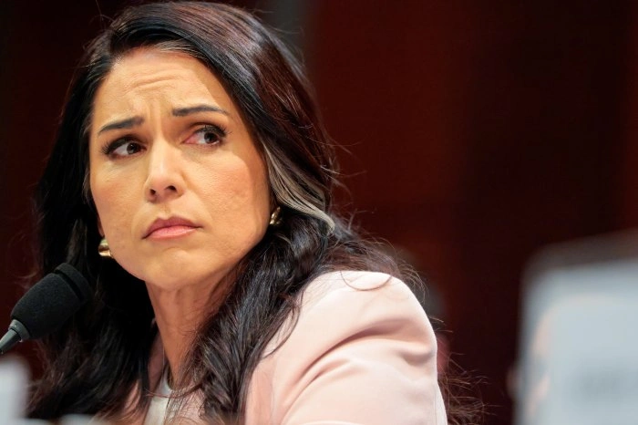 Tulsi Gabbard Resigns as US Intelligence Chief
