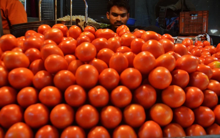 Centre Plans Subsidised Tomato Sales as Prices Surge Across India