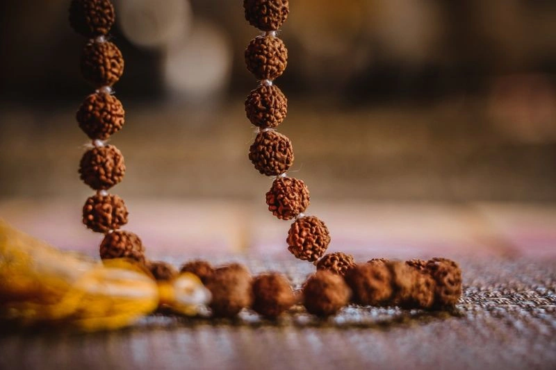  Nepal’s Rudraksha Boom Faces Risks Amid Rising Chinese Demand